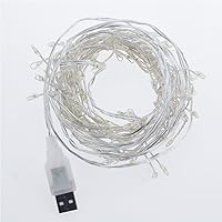Fairy Starry String Lights for Indoor/Home/Wedding/Easter/Wall Lamp Decoration,Firefly Silver String with USB Power,2M 120 Lights(Ship from US!)
