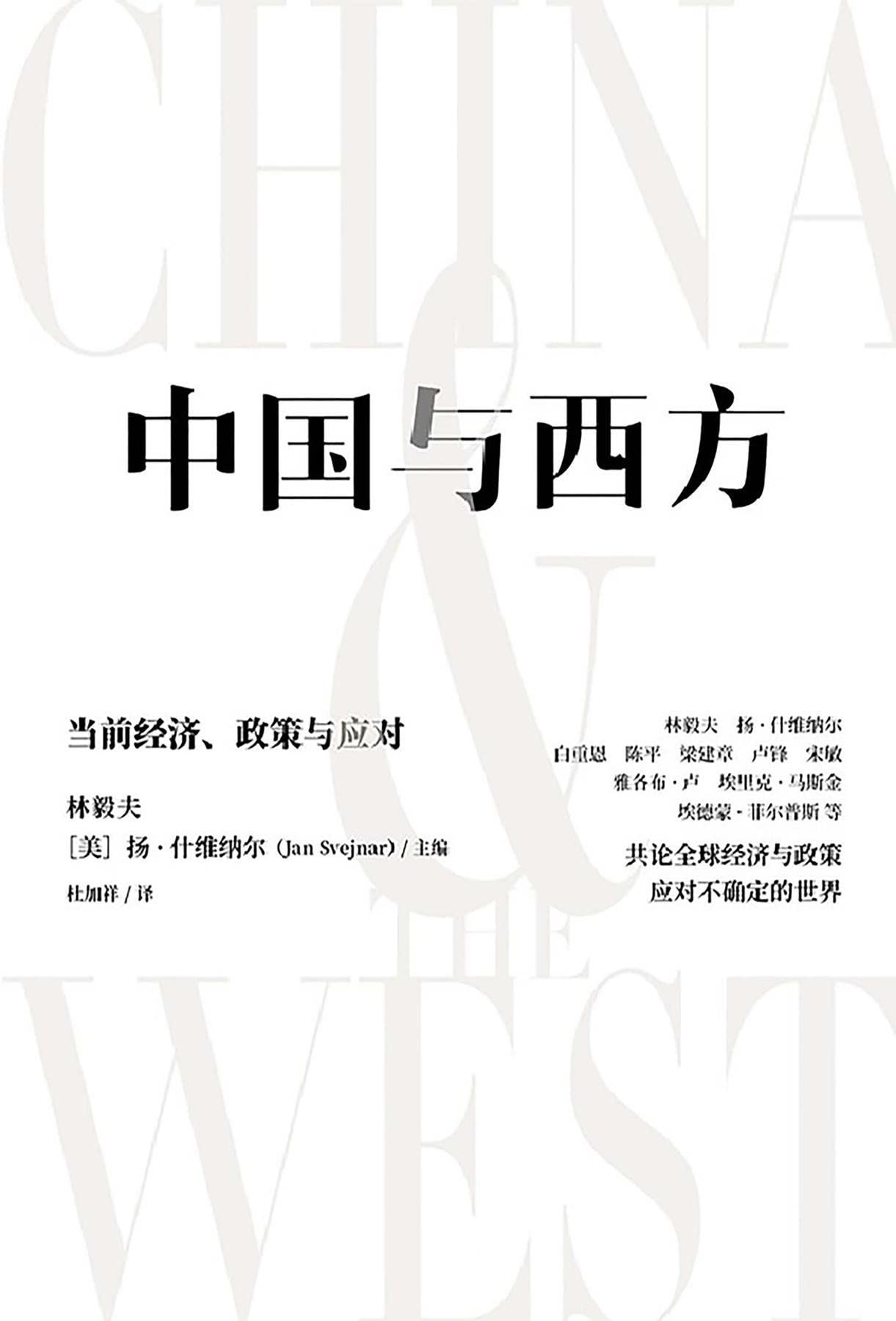 中国与西方：当前经济、政策与应对 (Chinese Edition)