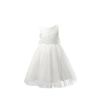 PLUVIOPHILY Ivory Lace Tulle Wedding Flower Girl Dress Junior Bridesmaid Dress
