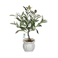 BESAMENATURE Artificial Olive Tree, Desktop Faux Fruit Tree for Home Office Decoration, 14