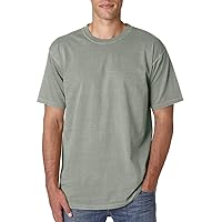 Comfort Colors 6.1 Oz. Ringspun Garment-Dyed T-Shirt (C1717) BAY