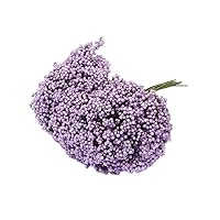 10 Pcs/Lot Artificial Flower Stamen Artificial Holly Berries Mini Pearl Flower Stamen Floral Stamens Pistil for Paper Flowers Crafts, Cake Decor, Wreaths Making, Wedding Home Decoration