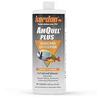 Kordon AmQuel Plus Aquarium Water Conditioner - Instantly Detoxifies Ammonia, Nitrite, Nitrate, and Chlorine Remover for Freshwater & Saltwater Aquariums, 16 Ounces