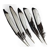 Lampu 5-7inches Natural Pheasant Wing Feather for Crafts DIY Decoration Collection Feathers per Pack of 10