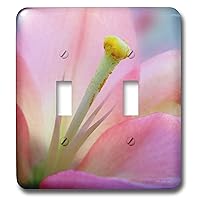 3dRose lsp_15439_2 Pink Lily Toggle Switch