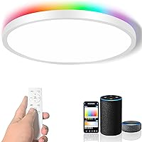 Flush Mount Ceiling Light with Remote Control, 12 Inch 24W RGB LED Ceiling Light Fixture, Compatible with Alexa Google Home, Dimmable WiFi Smart Ceiling Light for Bedroom, Living Room