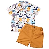 Toddler Little Boy Kids Summer Floral Shirt Blouse Tops + Bermuda Shorts Outfit Set Clothes