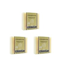 Plantlife Cedarwood 3-Pack Bar Soap - Moisturizing and Soothing Soap for Your Skin - Hand Crafted Using Plant-Based Ingredients - Made in California 4oz Bar