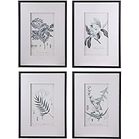 A&B Home AV43782 Black and White Faux Pencil, 20x28 inches Botanical Art, Set of 4