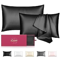 Mulberry Silk Pillowcase 2 Pack,22 Momme Silk & Wood Pulp Fiber Dual-Sided Pillow Cases Queen Size, Soft Cooling Silk Pillow Cover with Hidden Zipper(Black)