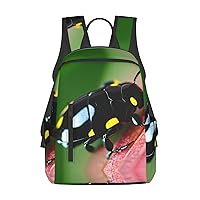 Colorful Ladybirds print Lightweight Laptop Backpack Travel Daypack Bookbag for Women Men for Travel Work
