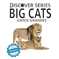 Gatos Grandes/Big Cats (Xist Kids Bilingual Spanish English) Gatos Grandes/Big Cats (Xist Kids Bilingual Spanish English) Paperback Kindle