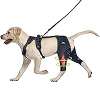 Dog ACL Knee Brace, Support for Pets with CCL, Cruciate Ligament Injuries - Keeps Knee Joints Warm and Stable, Upgraded Adjustable Dogs Rear Leg Wrap Harness Set for Leg Wound Care Prevents Licking