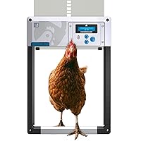 ONE in All 4 Colours, Automatic Chicken Coop Door Opener, Timer/Light Sensing, Auto-Stop, Predator Proof, Batteries Included Electric/Solar Compatible (Gray)