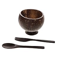 BESTOYARD 1 Set Coconut Shell Bowl Set Simple Food Server Wood Aai Bo Husk Bowl Ice Cream Containers Ondime Dish Food Containers Bowls with Spoons Snack Serving Tray Dried Fruit Hainan