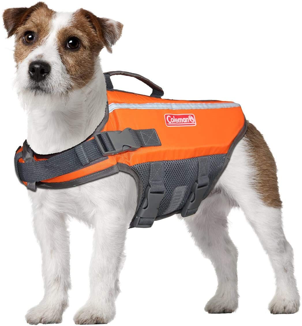 Coleman Dog Life Jacket Vest for Flotation in Pool Boat Beach Lake