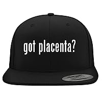 got Placenta? - Yupoong 6089 Structured Flat Bill Hat | Trendy Baseball Cap for Men and Women | Snapback Closure