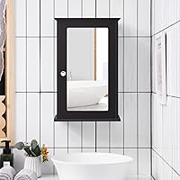 Dual-use, Wall Mount Mirror w/Adjustable Shelf, Vanity Storage Bathroom, Living Room or Entryway Medicine Cabinets, Small, Coffee