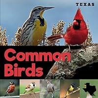 Common Birds of Texas: A Beginner-Friendly Picture Guide Book for Birdwatching and Identification