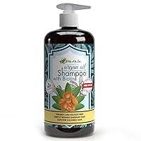 Moroccan Argan Oil & Biotin Shampoo (16.9 Fl Oz) | Professional Strength Formula | Natural Hair Repair, Moisturization Treatment for Dry, Damaged Hair | DHT Blocker & Anti Hair Loss