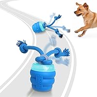 Interactive Dog Toys with Motion Activated, Squeaky Dog Toy Active Rolling Ball Wicked Ball for Daily Training (Blue)