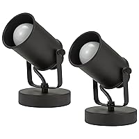 Modern Multipurpose Spotlight Desk or Wall Mount Accent Lamp, 6