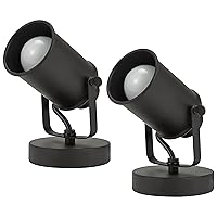 Catalina Lighting Modern Multipurpose Spotlight Desk or Wall Mount Accent Lamp, 6