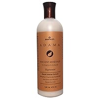 Zion Health Ancient Minerals, Conditioner, Geranium Rose, 16 fl oz (473 ml)