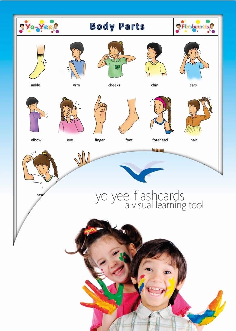 Body Parts Flash Cards for Language Learning in English - 英語フラッシュカード、絵カード、子供, 体の部分, 体