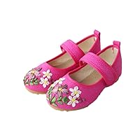 Girl's 3D Embroidery Mary-Jane Shoes Kid's Cute Flat Shoe