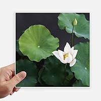 Fresh Lotus Leaf Plant Picture Nature Sticker Tags Wall Picture Laptop Decal Self Adhesive