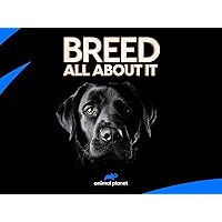 Breed All About It - Season 3