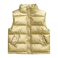 Baby Boys Girls Puffer Vest Winter Warm Lightweight Padded Vest Outerwear High Neck Zip up Cute Sleeveless Jackets