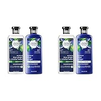 Bio Renew Blue Ginger (Pack of 2)