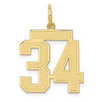 14k Gold Medium Satin Sport game Number Charm Pendant Necklace Jewelry for Women in Yellow Gold White Gold Choice of Numbers and Variety of Options
