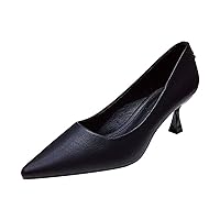 Women Low Kitten Heel Pump-Shoes Pointed-Toe Put Ons Birthdays Cozy Stylish Career Pumps-Shoe for Girls