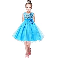 EFOFEI Girls Sleeveless Sequin Princess Dress Floral Lace Party Tutu Dresses Flower Princess Tulle Prom Gown