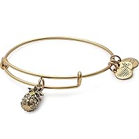 Alex and Ani Path of Symbols Expandable Bangle for Women, Pineapple Charm, Rafaelian Finish, 2 to 3.5 in