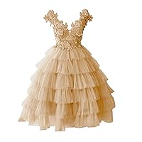 Sleeveless Tulle Prom Dress A-Line Short Homecoming Dress Lace Applique Layered Ruffles Party Cocktail Dress