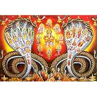 crafts of india best of indian crafts store Various Hindu Gods and Goddess enshrined on snakes/Hindu God Big Poster -reprint on paper (Unframed : Size 21