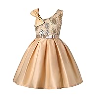 Girls Dress Jacket Size 8 Toddler Kids Girls Prints Sleeveless Party Girls Elegant Ball Gown Lace Dress for Party