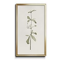 Renditions Gallery Early Blooms I Botanical Prints Flower Modern Wall Decoration 12x20 inches Gold Framed Floral Wall Art for Office and Home Décor