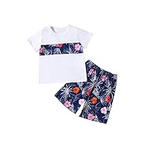 Baby Boy'S Graphic Tee And Shorts Set 2Pcs Outfits For Summer Short Sleeve T-Shirt Elastic Waist Pant Clothes