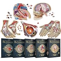 Dr Livingston's Human Anatomy Organ Puzzle Bundle - Heart, Brain, Hands, Feet, Eye - Unique Adult Anatomy Jigsaw Puzzles - Educational Science Puzzles - Medically Accurate Doctor Gifts