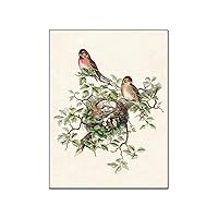 AAHARYA Art Poster Bird Standing Nest Animal Vintage Wall Decor Canvas Painting Posters And Prints Wall Art Pictures for Living Room Bedroom Decor 24x32inch(60x80cm) Unframe-style-1