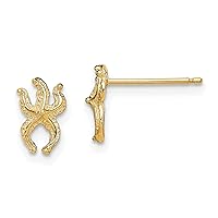 14k Gold Mini Starfish Post Earrings