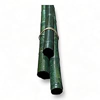 Pack of 3 Bamboo Sticks - 6 Feet Long Natural Thick Bamboo Poles - 1.5 in Diameter - Garden Stakes (Green)