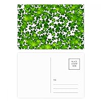 Four Leaf Ireland St.Patrick's Day Postcard Set Birthday Mailing Thanks Greeting Card
