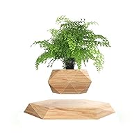 Levitating Plant Pot Hexagon Floating Air Bonsai Pot Suspension Flower Pot Planter for Office Home Decoration