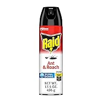 Raid Ant & Roach Aerosol Bug Spray, Water-Based Formula Insecticide With No Greasy Residue, Kills On Contact, 17.5 oz